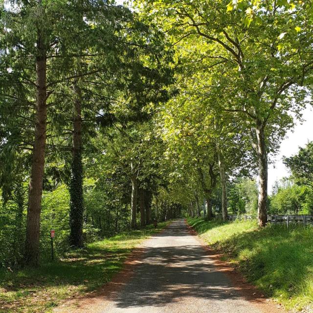 Instagram #marciac