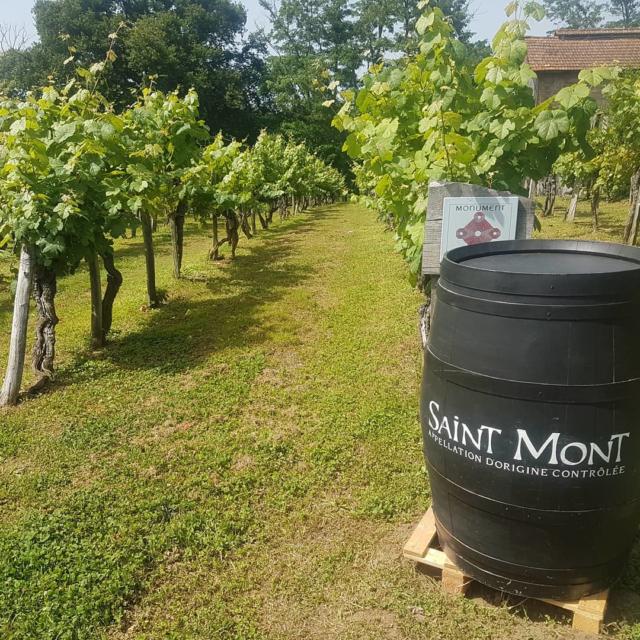 Instagram #saintmont